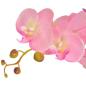 Preview: Künstliche Orchidee mit Topf 65 cm Rosa