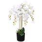 Preview: ARDEBO.de - Künstliche Orchidee mit Topf 75 cm Weiß