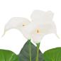 Preview: Künstliche Calla-Lilie mit Topf 85 cm Weiß