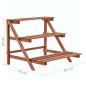 Preview: 3-Tier Pflanzenständer Zedernholz 48x45x40 cm