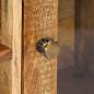 Preview: TV-Schrank 120x30x75 cm Altholz Massiv