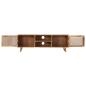 Preview: TV-Schrank 120x30x40 cm Massivholz Mango