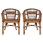 Preview: ARDEBO.de - Gartenstühle 2 Stk. Natürliches Rattan Braun