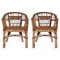 Preview: Gartenstühle 2 Stk. Natürliches Rattan Braun