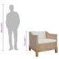 Preview: 2-tlg. Sofagarnitur mit Kissen Natur Rattan