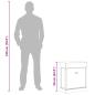 Preview: Schuhschrank Grau 50 x 28 x 58 cm Paulownia Holz