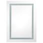 Preview: LED-Spiegelschrank 50x13x70 cm