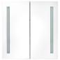 Preview: LED-Spiegelschrank 60x14x62 cm