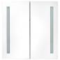 Preview: LED-Spiegelschrank 60x14x62 cm