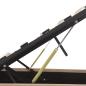 Preview: Stauraumbett Hydraulisch Cappuccino-Braun Kunstleder 180×200 cm