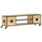 Preview: TV-Schrank 130x30x39 cm Massivholz Mango
