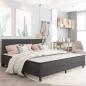 Preview: ARDEBO.de - Boxspring-Bettgestell Grau Stoff 200x200 cm