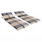 Preview: ARDEBO.de - Lattenroste 2 Stk. mit 42 Latten 7 Zonen 70x200 cm