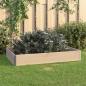 Preview: Hochbeet 80x120 cm Kiefer Massivholz