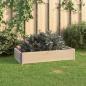 Preview: Hochbeet 50x100 cm Kiefer Massivholz