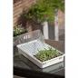 Preview: Nature Zimmergewächshaus-Set 55x31x22 cm 6020203