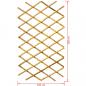 Preview: Nature Garten-Rankgitter 100x200 cm Bambus 6040722