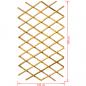 Preview: Nature Garten-Rankgitter 100x200 cm Bambus 6040722
