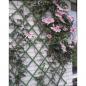 Preview: Nature Garten-Rankgitter 50x150 cm PVC Grün 6040702