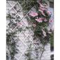 Preview: Nature Garten-Rankgitter 100x200 cm PVC Weiß 6040703