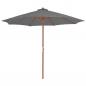 Preview: ARDEBO.de - Sonnenschirm mit Holz-Mast 300 cm Anthrazit
