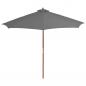 Preview: Sonnenschirm mit Holz-Mast 300 cm Anthrazit