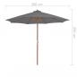 Preview: Sonnenschirm mit Holz-Mast 300 cm Anthrazit