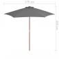 Preview: Sonnenschirm mit Holz-Mast 270 cm Anthrazit