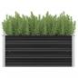 Preview: Garten-Hochbeet Anthrazit 100 x 40 x 45 cm Verzinkter Stahl