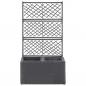 Preview: Hochbeet mit Rankgitter 2 Töpfe 58×30×107cm Poly Rattan Schwarz