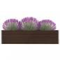 Preview: Hochbeet 320 x 40 x 77 cm Verzinkter Stahl Braun