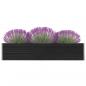 Preview: ARDEBO.de - Garten-Hochbeet Verzinkter Stahl 320×40×45 cm Anthrazit