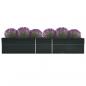 Preview: Garten-Hochbeet Verzinkter Stahl 400x80x77 cm Anthrazit