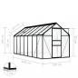 Preview: Gewächshaus mit Fundament Anthrazit Aluminium 8,17 m²