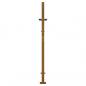 Preview: Gartentor 105x130 cm Cortenstahl Gras-Design