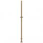 Preview: Gartentor 105x180 cm Cortenstahl Baum-Design