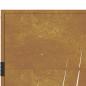 Preview: Gartentor 105x155 cm Cortenstahl Gras-Design