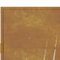 Preview: Gartentor 105x155 cm Cortenstahl Gras-Design
