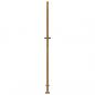 Preview: Gartentor 105x180 cm Cortenstahl Gras-Design