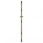 Preview: Gartentor 85x200 cm Cortenstahl Gras-Design