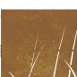 Preview: Gartentor 85x125 cm Cortenstahl Gras-Design