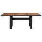 Preview: Garten-Esstisch Schwarz 200x100x74 cm Poly Rattan 