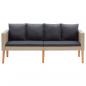 Preview: 2-Sitzer-Gartensofa mit Auflagen Poly Rattan Beige