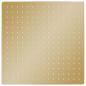 Preview: Regenbrause Edelstahl 40x40 cm Quadrat Golden