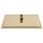 Preview: Regenbrause Edelstahl 40x40 cm Quadrat Golden