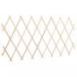 Preview: Scherenzaun 5 Stk. Tannenholz 180x60 cm