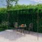 Preview: ARDEBO.de - Garten-Pergola Antik-Braun 6x3x2,5 m Eisen