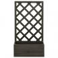 Preview: Garten-Spalier mit Blumenkasten Grau 50x25x90 cm Tannenholz 