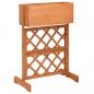 Preview: ARDEBO.de - Garten-Spalier mit Blumenkasten Orange 45x30x74 cm Tannenholz 
