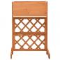 Preview: Garten-Spalier mit Blumenkasten Orange 45x30x74 cm Tannenholz 